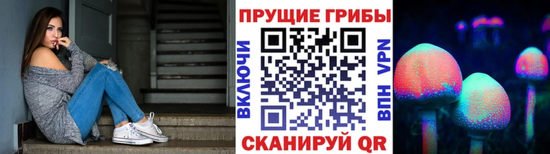 Псилоцибиновые грибы ЛСД  hydra зеркало  Енисейск 