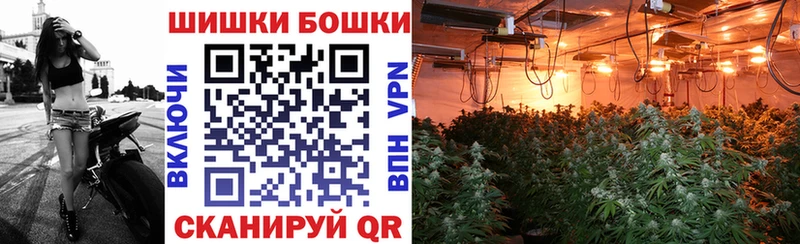 kraken как зайти  Енисейск  Каннабис индика 
